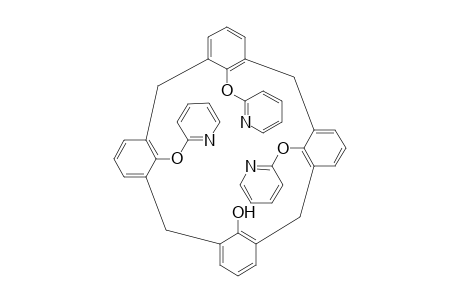 28-Hydroxy-25,26,27-tris(2'-pyridoxy)-calix[4]arene