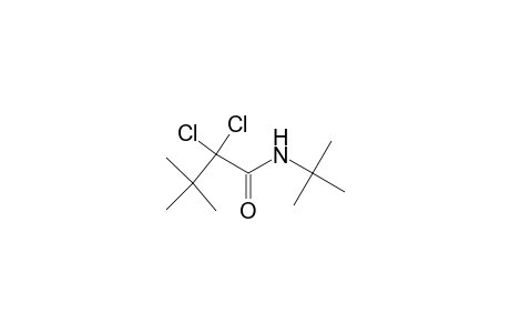 N-tert-butyl-2,2-bis(chloranyl)-3,3-dimethyl-butanamide