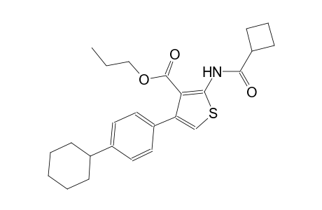 propyl 2-[(cyclobutylcarbonyl)amino]-4-(4-cyclohexylphenyl)-3-thiophenecarboxylate