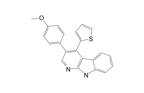 3-(4-METHOXYPHENYL)-4-(2-THIENYL)-PYRIDO-[2,3-B]-INDOL;3-(4-METHOXYPHENYL)-4-(2-THIENYL)-ALPHA-CARBOLINE