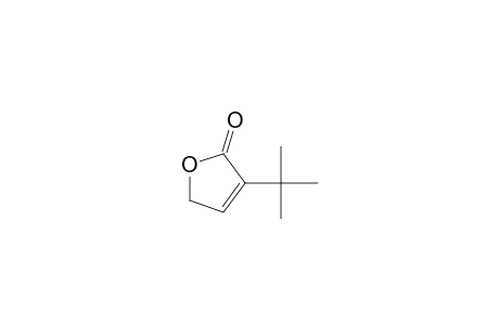 4-tert-Butyl-2H-furan-5-one