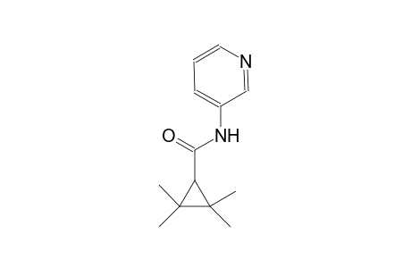 2,2,3,3-tetramethyl-N-(3-pyridinyl)cyclopropanecarboxamide
