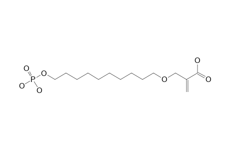 2-(12-PHOSPHONOOXY-2-OXADODECYL)-ACRYLIC-ACID
