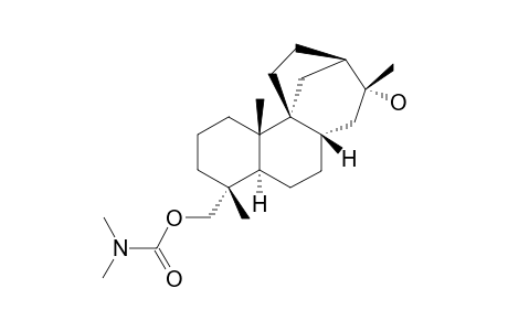 19-N,N-DIMETHYLCARBAMOXY-13-HYDROXYSTEMARANE