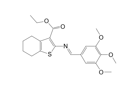 2-[(E)-(3,4,5-trimethoxybenzylidene)amino]-4,5,6,7-tetrahydrobenzothiophene-3-carboxylic acid ethyl ester