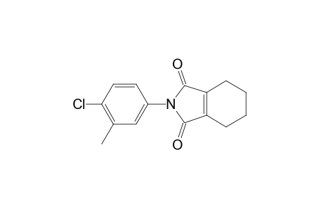 N-(4-Chloro-3-methyl-phenyl)-4,5,6,7-tetrahydro-phthalimide