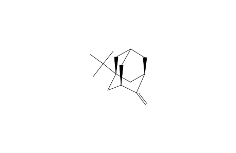 2-METHYLENE-5-TERT.-BUTYLADAMANTANE;X=C(CH3)3)