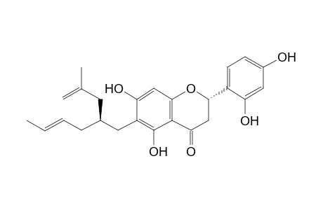 (2S,2"S) 2-(2',4'-Dihydroxyphenyl)- 5,7-dihydroxy-6-[6"-methyl-2"-isopropenyl-4"-hexen-1"-yl]-2,3-dihydrobenzopyran-4(4H)-one