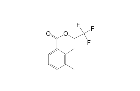 2,3-Dimethylbenzoic acid, 2,2,2-trifluoroethyl ester