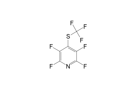 2,3,5,6-TETRAFLUORO-4-TRIFLUOROMETHYLTHIOPYRIDINE