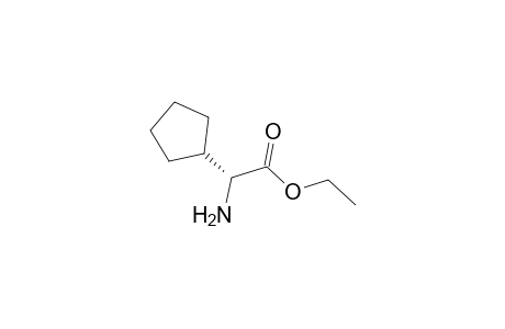 (2R)-2-amino-2-cyclopentyl-acetic acid ethyl ester