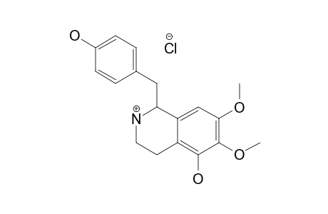 (+/-)-NORTHALMELINE-HYDROCHLORIDE;1-(4'-HYDROXYBENZYL)-5-HYDROXY-6,7-DIMETHOXY-1,2,3,4-TETRAISOQUINOLINE-HYDROCHLORIDE