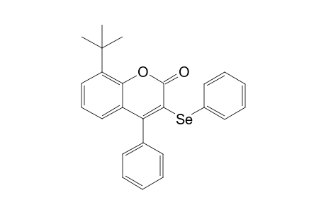 8-(tert-butyl)-4-phenyl-3-(phenylselanyl)-2H-chromen-2-one