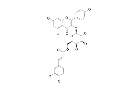 KAEMPFEROL-3-O-(6''-O-E-CAFFEOYL)-BETA-D-GALACTOPYRANOSIDE