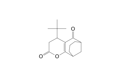 4-(t-butyl)-4,6,7,8-,9,10-hexahydro-6,10-methano-2H-[l]cycloocta[b]pyran-2,5-dione