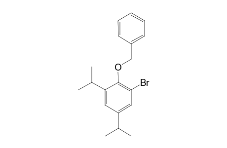 1-Bromanyl-2-phenylmethoxy-3,5-di(propan-2-yl)benzene