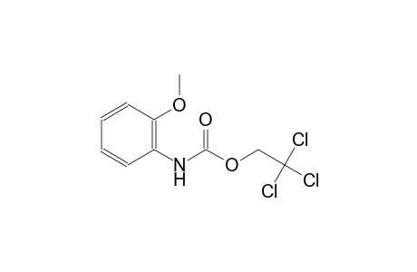 2,2,2-trichloroethyl 2-methoxyphenylcarbamate