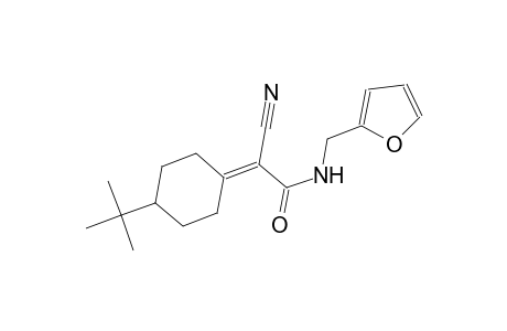 2-(4-tert-butylcyclohexylidene)-2-cyano-N-(2-furylmethyl)acetamide