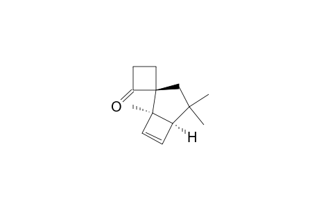 Spiro[bicyclo[3.2.0]hept-6-ene-2,1'-cyclobutan]-2'-one, 1,4,4-trimethyl-, (1.alpha.,2.beta.,5.alpha.)-