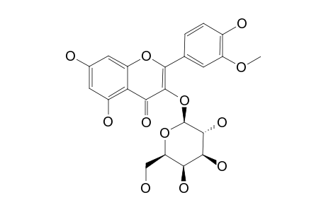 ISORHAMNETIN-3-O-BETA-D-GALACTOPYRANOSIDE