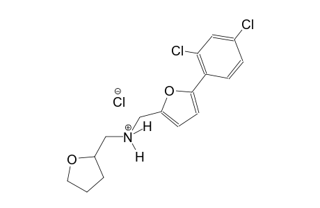 2-furanmethanaminium, 5-(2,4-dichlorophenyl)-N-[(tetrahydro-2-furanyl)methyl]-, chloride