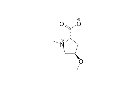 LCRFCICIBIZKQT-RITPCOANSA-N