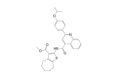 methyl 2-({[2-(4-isopropoxyphenyl)-4-quinolinyl]carbonyl}amino)-5,6,7,8-tetrahydro-4H-cyclohepta[b]thiophene-3-carboxylate