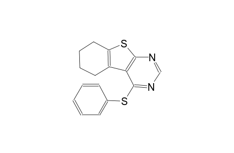 benzo[4,5]thieno[2,3-d]pyrimidine, 5,6,7,8-tetrahydro-4-(phenylthio)-