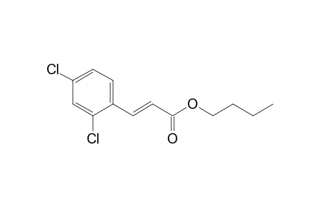 2-Propenoic acid, 3-(2,4-dichlorophenyl)-, butyl ester, (E)-