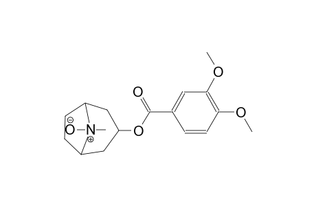 benzoic acid, 3,4-dimethoxy-, 8-methyl-8-oxido-8-azabicyclo[3.2.1]oct-3-yl ester