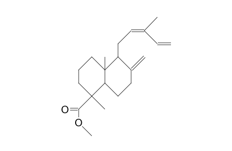 Ozic acid, methyl ester