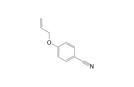 4-Allyloxybenzonitrile