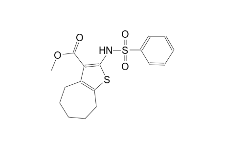 methyl 2-[(phenylsulfonyl)amino]-5,6,7,8-tetrahydro-4H-cyclohepta[b]thiophene-3-carboxylate