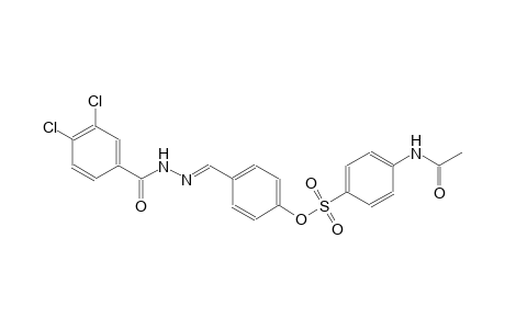 4-{(E)-[2-(3,4-dichlorobenzoyl)hydrazono]methyl}phenyl 4-(acetylamino)benzenesulfonate