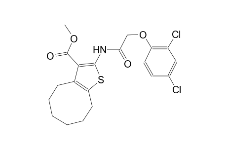 methyl 2-{[(2,4-dichlorophenoxy)acetyl]amino}-4,5,6,7,8,9-hexahydrocycloocta[b]thiophene-3-carboxylate