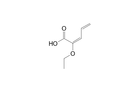 (2E)-2-ethoxypenta-2,4-dienoic acid