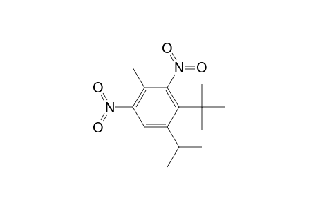 2-tert-Butyl-1-isopropyl-4-methyl-3,5-dinitro-benzene