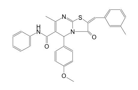 (2E)-5-(4-methoxyphenyl)-7-methyl-2-(3-methylbenzylidene)-3-oxo-N-phenyl-2,3-dihydro-5H-[1,3]thiazolo[3,2-a]pyrimidine-6-carboxamide