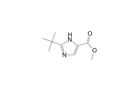 methyl 2-tert-butyl-1H-imidazole-5-carboxylate