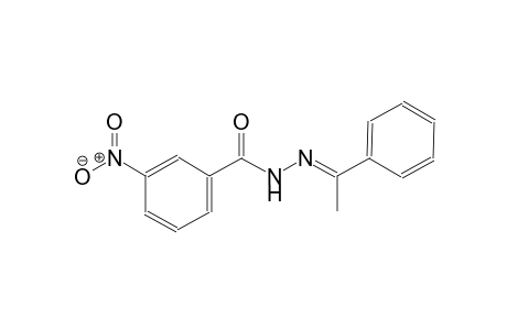 3-Nitro-N'-[(E)-1-phenylethylidene]benzohydrazide
