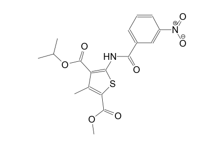 4-isopropyl 2-methyl 3-methyl-5-[(3-nitrobenzoyl)amino]-2,4-thiophenedicarboxylate