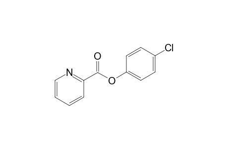 Picolinic acid 4-chlorophenyl ester