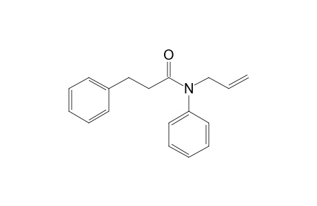 N-Allyl-N,3-diphenylpropanamide