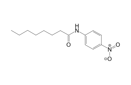 N-(4-nitrophenyl)octanamide