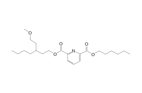 2,6-Pyridinedicarboxylic acid, hexyl 3-(2-methoxyethyl)heptyl ester