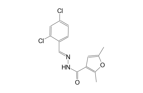 N'-[(E)-(2,4-dichlorophenyl)methylidene]-2,5-dimethyl-3-furohydrazide