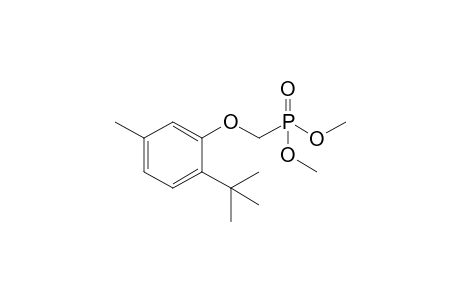 1-tert-Butyl-2-(dimethoxyphosphorylmethoxy)-4-methyl-benzene