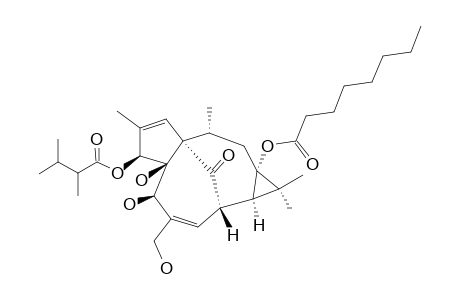 3-O-(2,3-DIMETHYLBUTANOYL)-13-OCTANOYLOXY-INGENOL