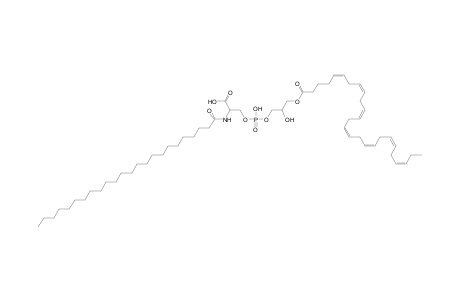 LNAPS 26:7/N-24:0