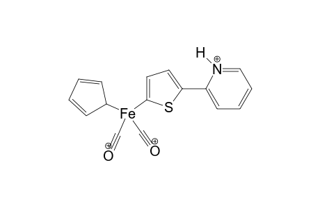 2-[Dicarbonyl(cyclopentadienyl)-iron]-5-(2'-pyridynium)thiophene - (trifluoromethyl) salt